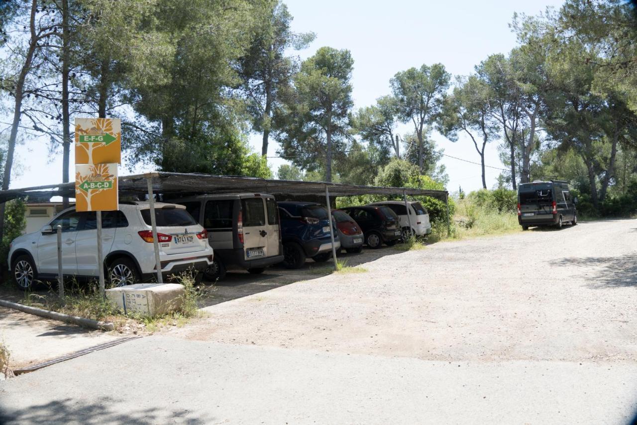 El Petit Margallo, Appartement